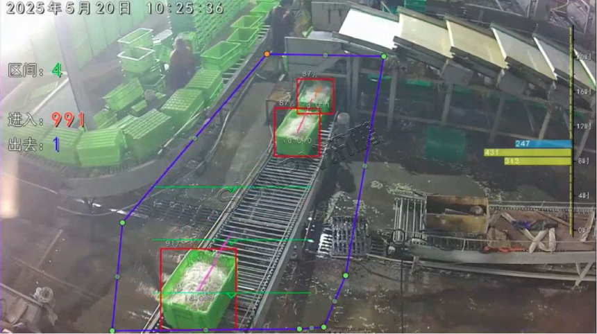 AI视觉摄像头精准识别传送带上物品