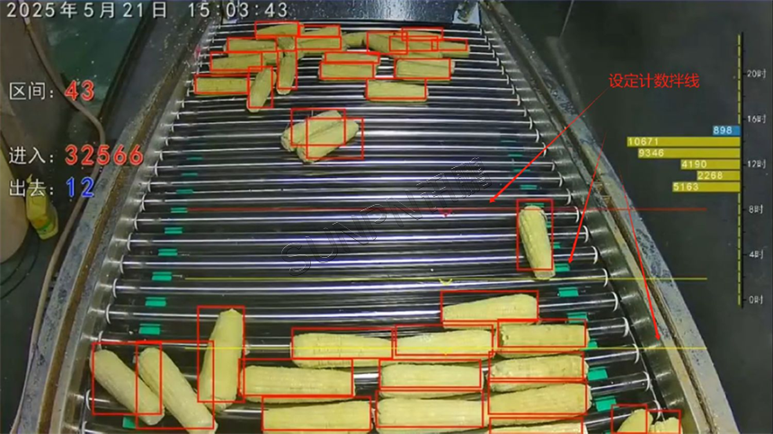 AI计数器数传送带上的玉米