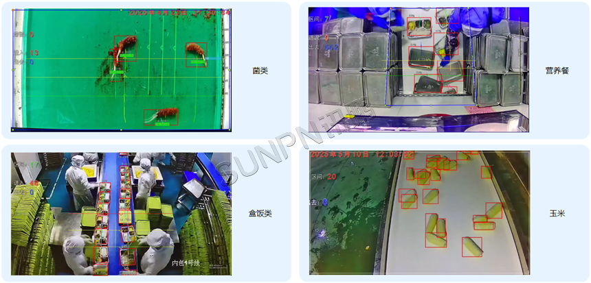 AI视觉计数器应用案例