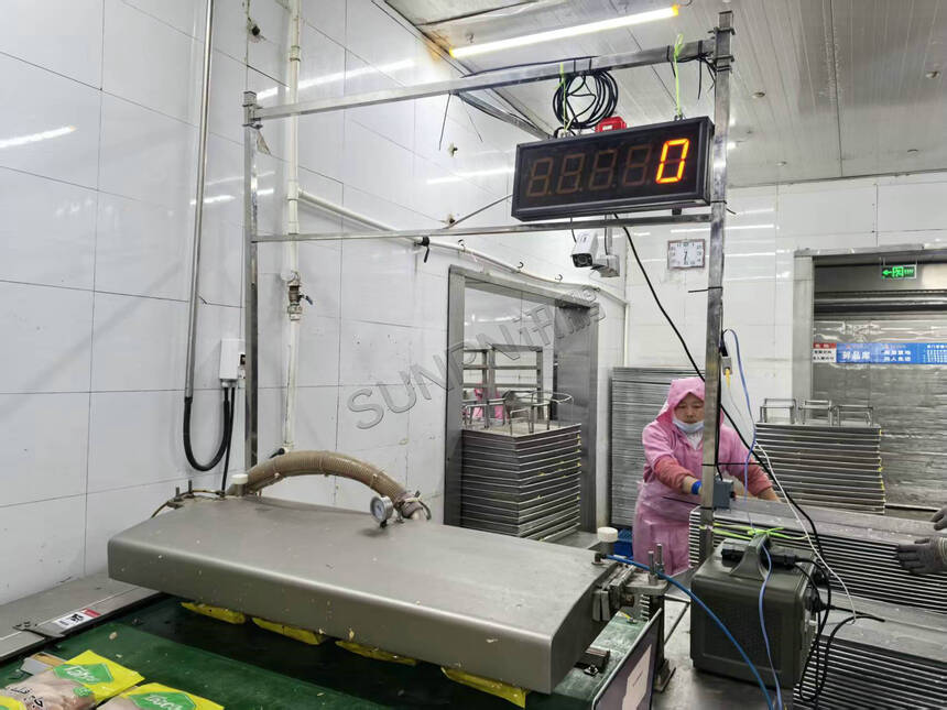 讯鹏科技：AI视觉计数器-案例图