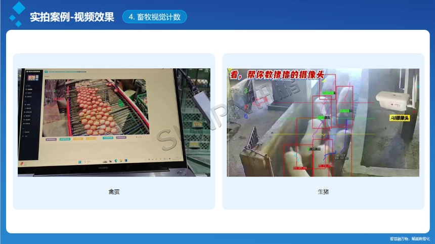 讯鹏科技:AI视觉计数传感器-案例图 讯鹏科技:AI视觉计数传感器-案例图