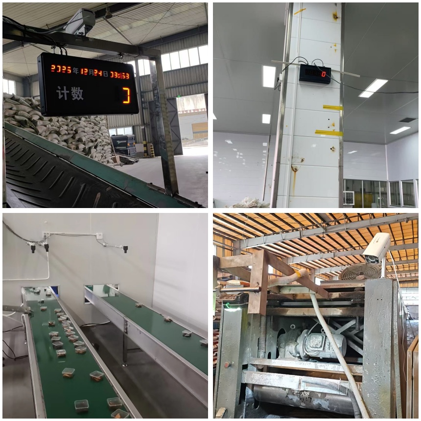 讯鹏科技:AI 视觉计数显示屏看板-案例图
